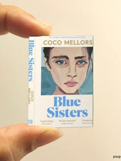 Blue Sisters miniature book replica by Coco Mellors – Pagenook